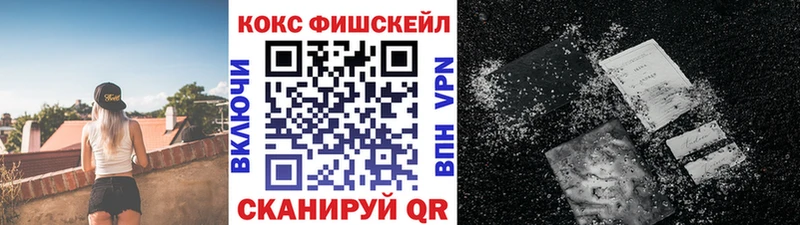 Cocaine FishScale  купить наркоту  Дмитровск 