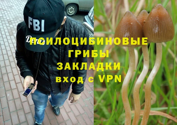 не бодяженный Алзамай