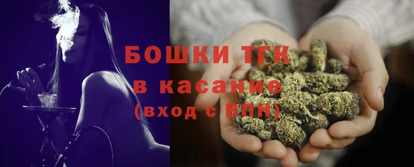 тгк Абаза