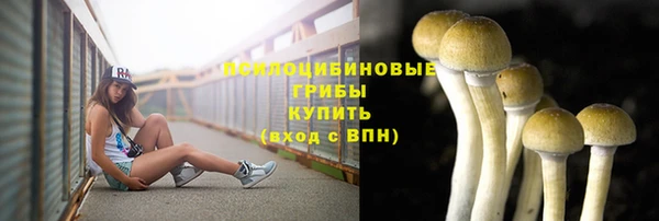 наркотики Алексин